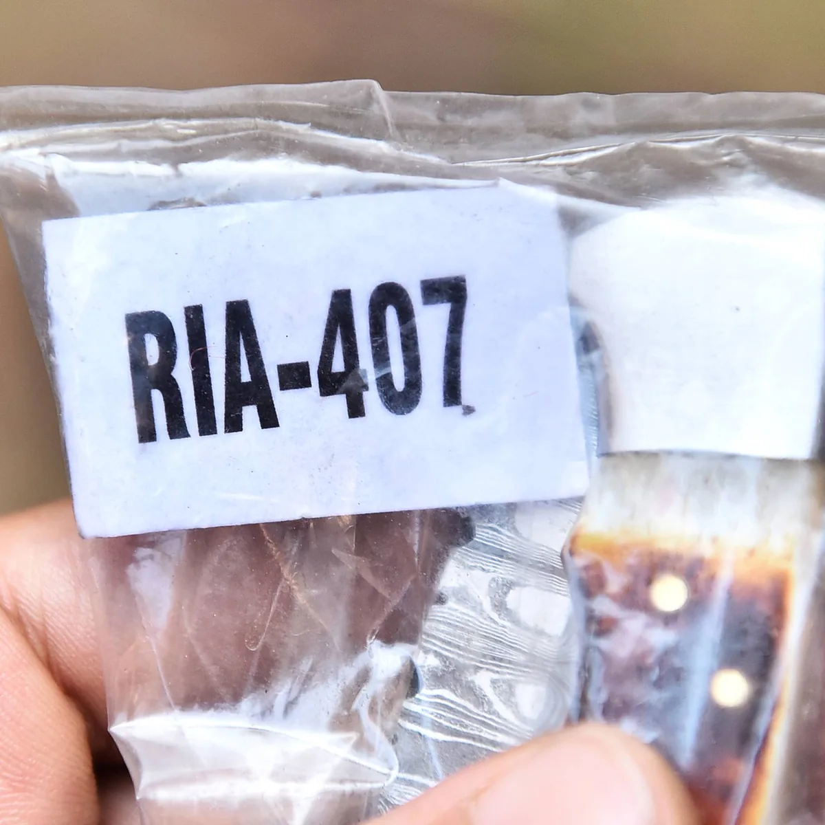 RIA-407 supporting view