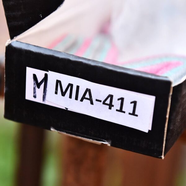 MIA-411 supporting view